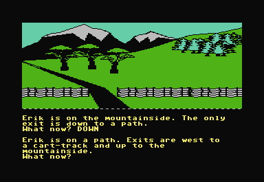 The Saga of Erik the Viking screenshot 3 for Commodore 64